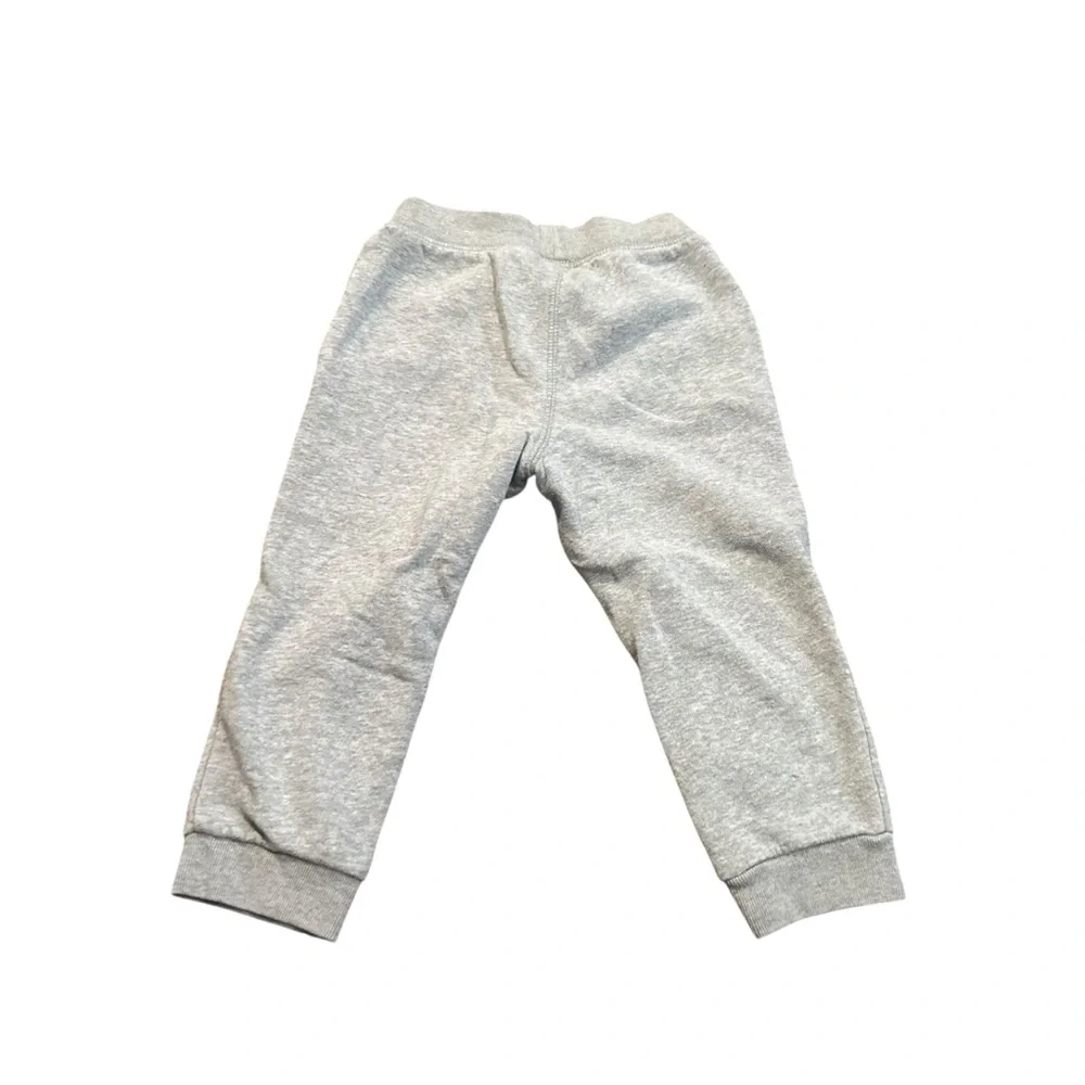 The Children’s Place Gray Boys Sweats Size 2T
